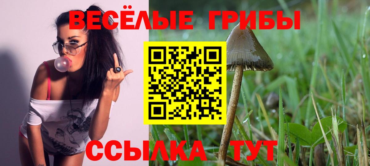 Псилоцибиновые грибы Psilocybe Куйбышев