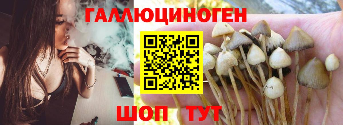 Псилоцибиновые грибы Magic Shrooms  Вход с VPN  Куйбышев  Галлюциногенные грибы мицелий 